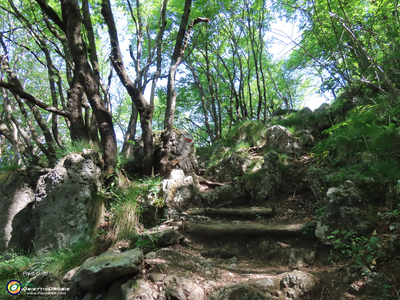 57 In decisa-ripida salita alla cima del Monte Zucco.JPG